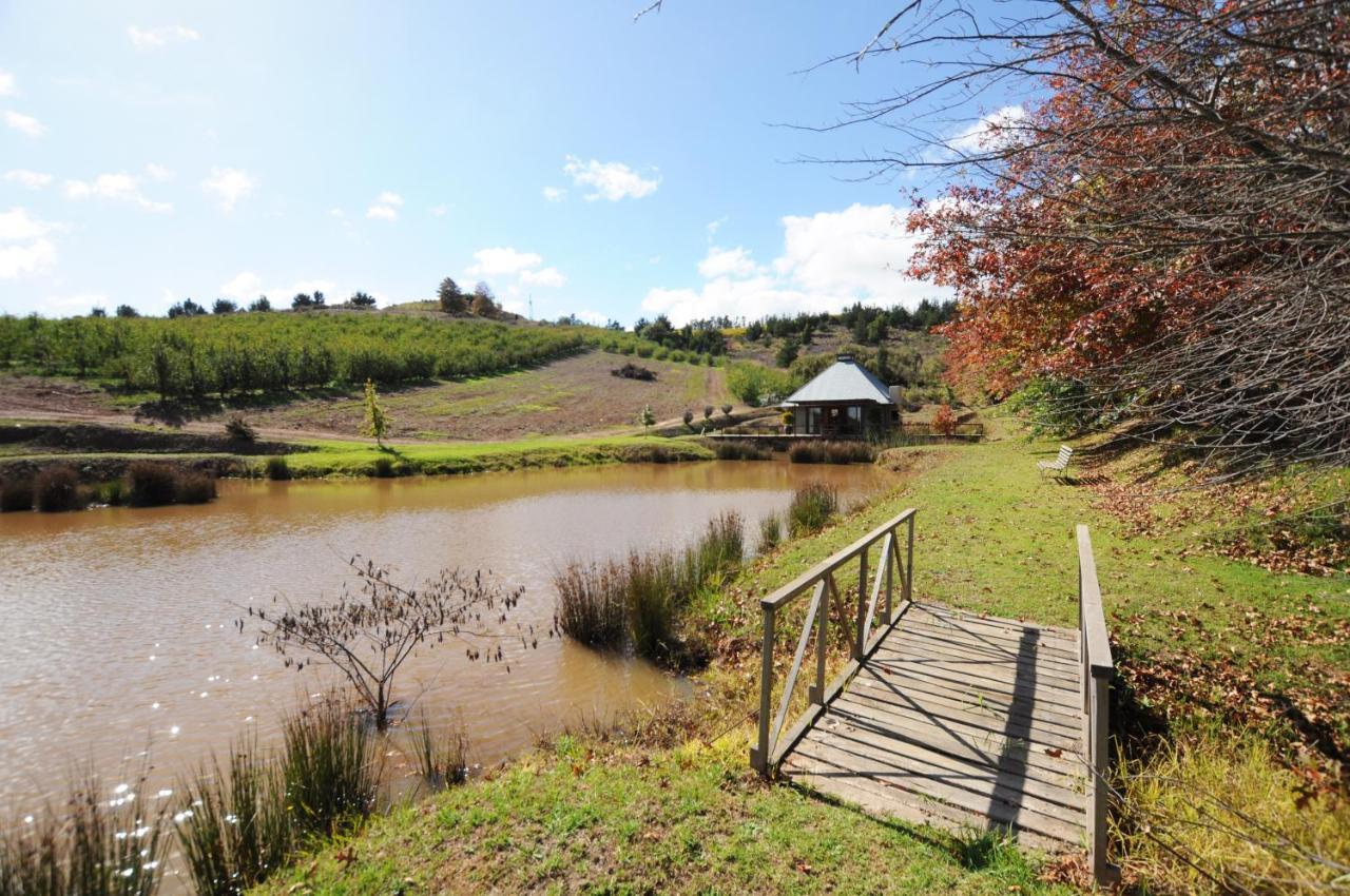 Galileo Farm in Grabouw, South Africa