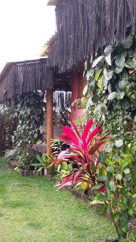 Casas Belas de Taipu in Marau, Brasil