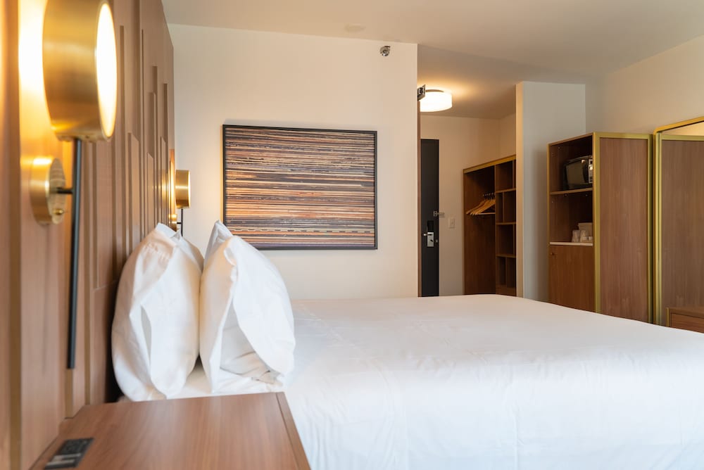 Hotel Indigo Detroit Downtown by IHG - photo 20