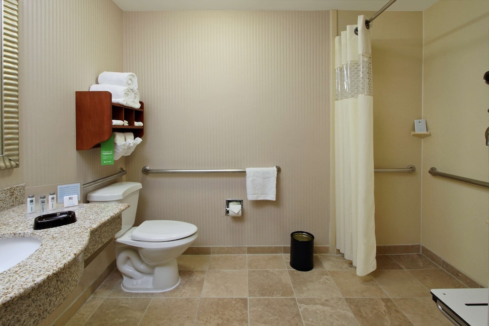 Hampton Inn Austin Airport Area South - photo 16