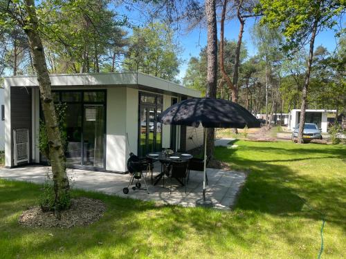 Vakantie Woning Huisje Boszicht — Haarle