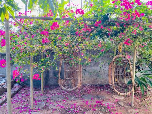 AquaTerra Comfy stay Varkala beach in Varkala, India