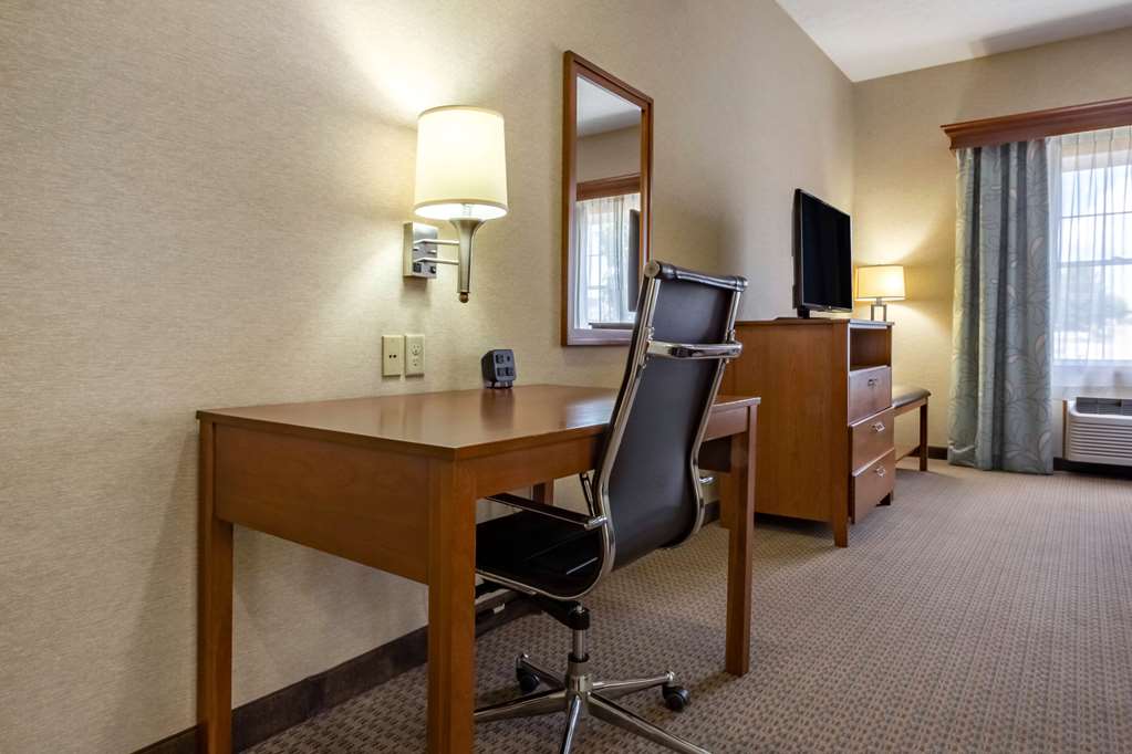 Comfort Suites Hotel and Conference Center - photo 11