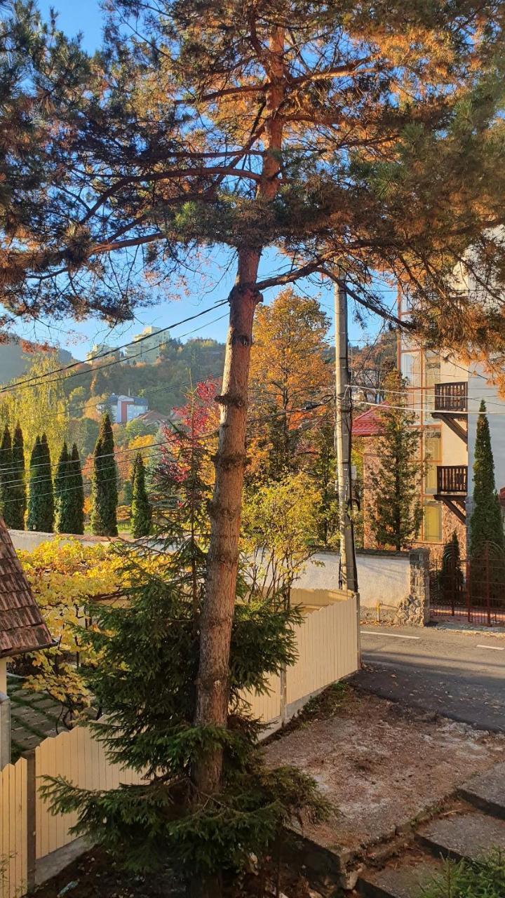 Central Luxury Apartment with City View — 4-Star Luxury Hotel in Brasov, Romania