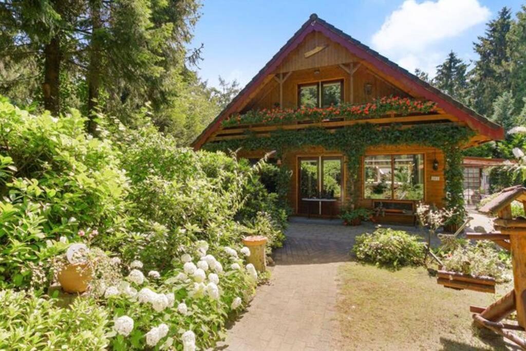 T Holten Huus Puur Genieten In Het Bos — Norg