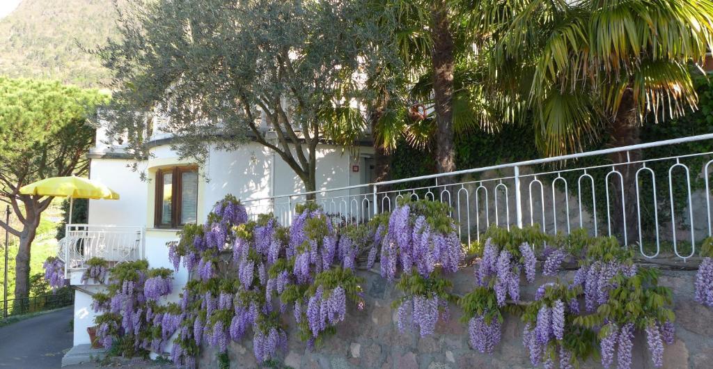 Appartement Trafoier — 4-Star Luxury Hotel in Tirolo, Italy
