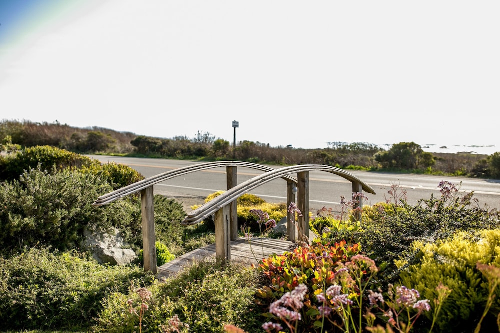 Sea Otter Inn - photo 37