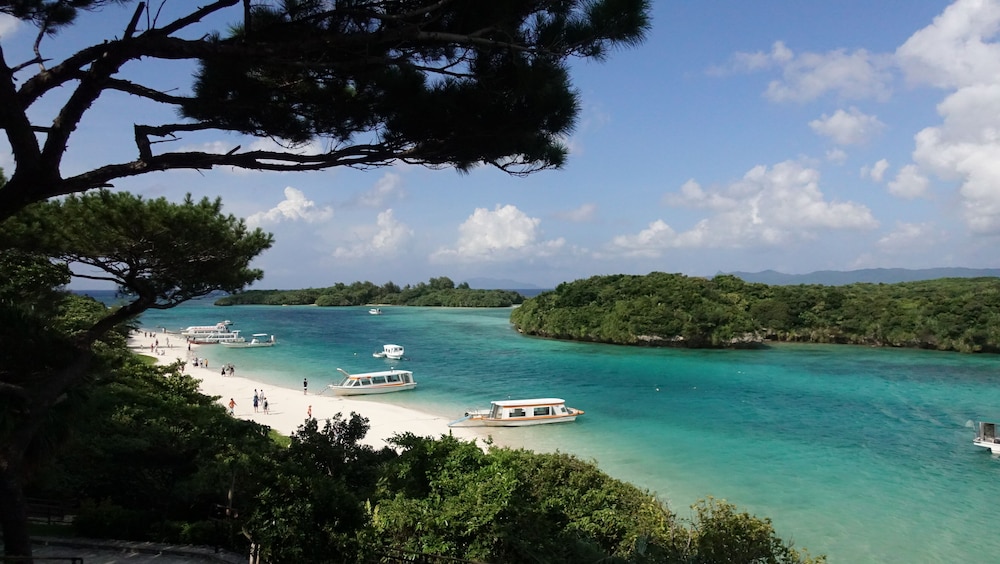 Blue Ocean Resort — hotel in Ishigaki