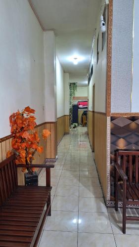 Viola — Bukittinggi — photo 2