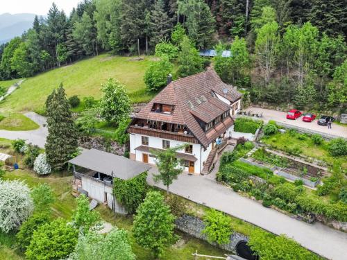 Apartment Biohof Herrenweg 1 by Interhome — 4-Star Luxury Hotel in Schiltach, Germany