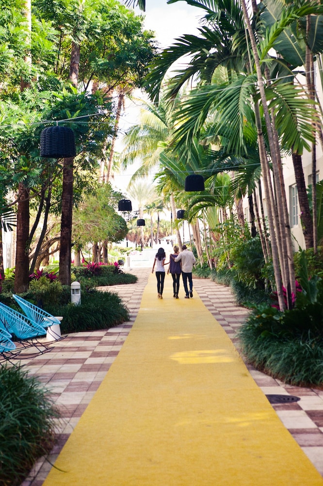 Kimpton Surfcomber Hotel by IHG - photo 121
