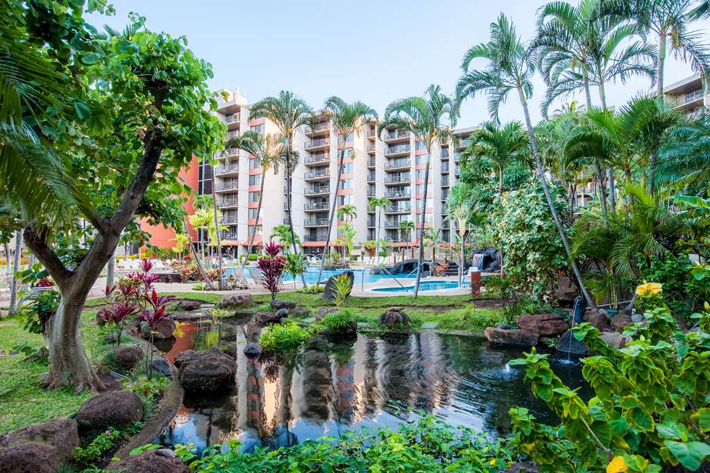 Aston Kaanapali Shores - photo 27