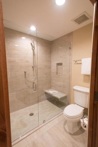 Deluxe One Bedroom Suite 1 Apartment Hotel by RedAwning - photo 4