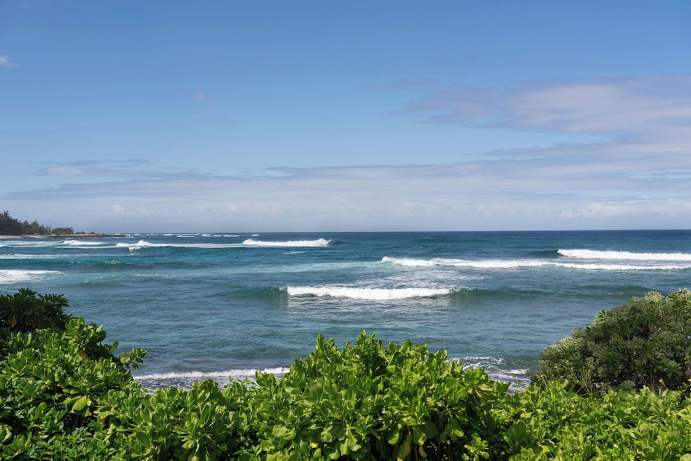 The Ritz Carlton O ahu Turtle Bay - photo 44