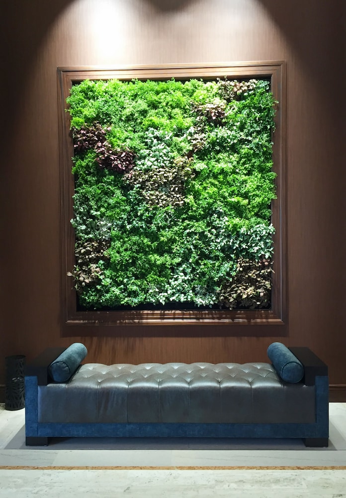The Westin San Jose - photo 35