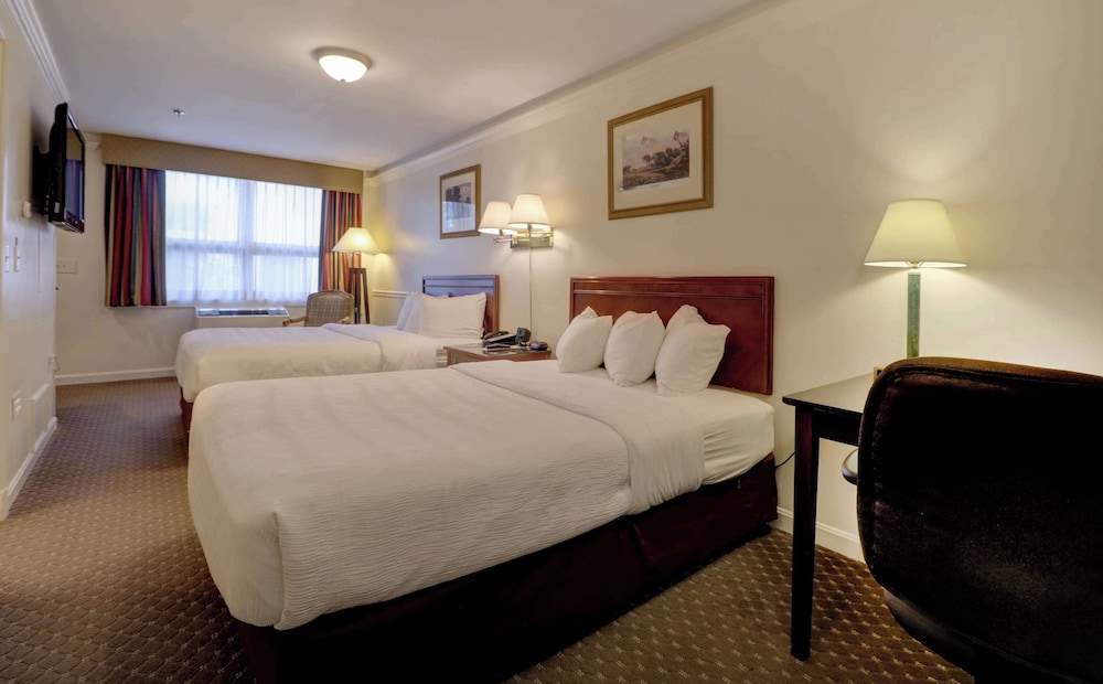 Senator Inn & Spa - photo 19