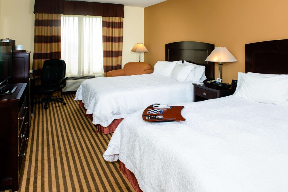 Hampton Inn & Suites Port Arthur - photo 5