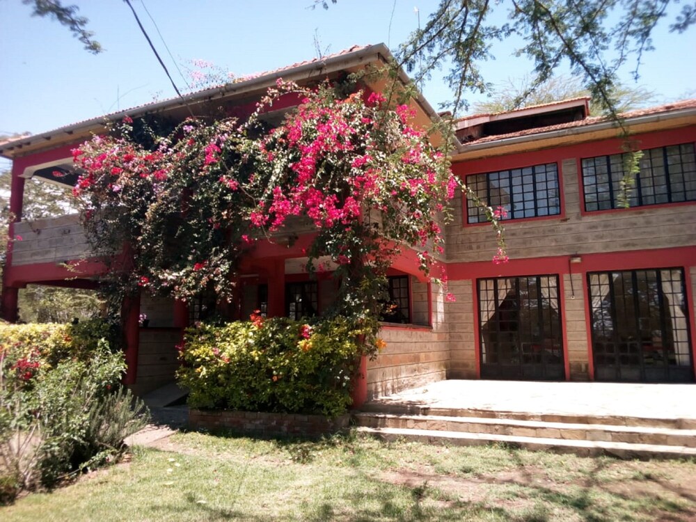 Hungry & T Hippo in Naivasha, Kenya