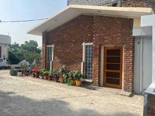 Green Backpacker’s Hostel and Homestay