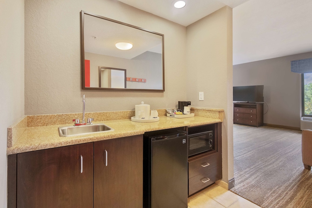 Hampton Inn & Suites Orlando Apopka - photo 41
