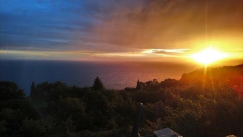Rezevici Azur — Budva — photo 2