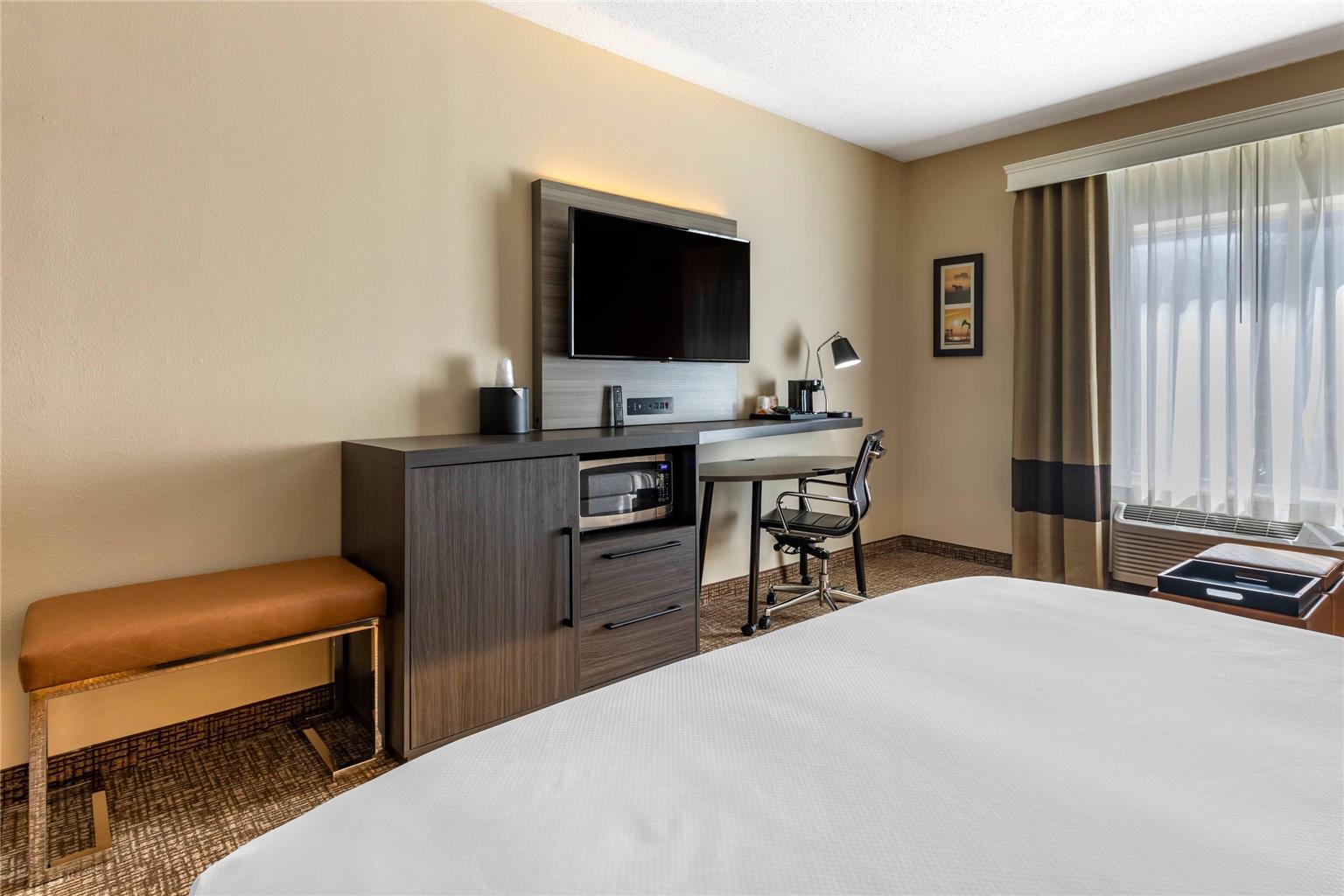 Comfort Inn & Suites North Dallas Addison - photo 21