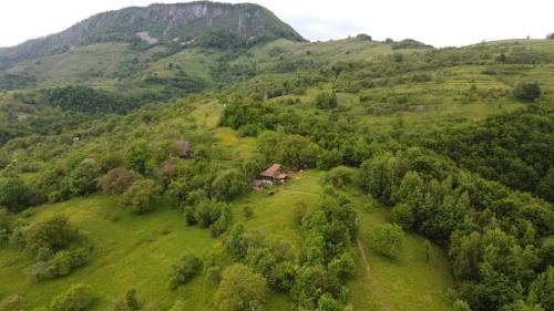 Almost Heaven cabană cu vedere în Apuseni — hotel in Campeni