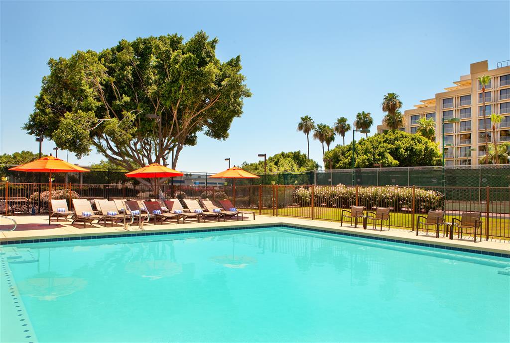 Sheraton Crescent Hotel - photo 30
