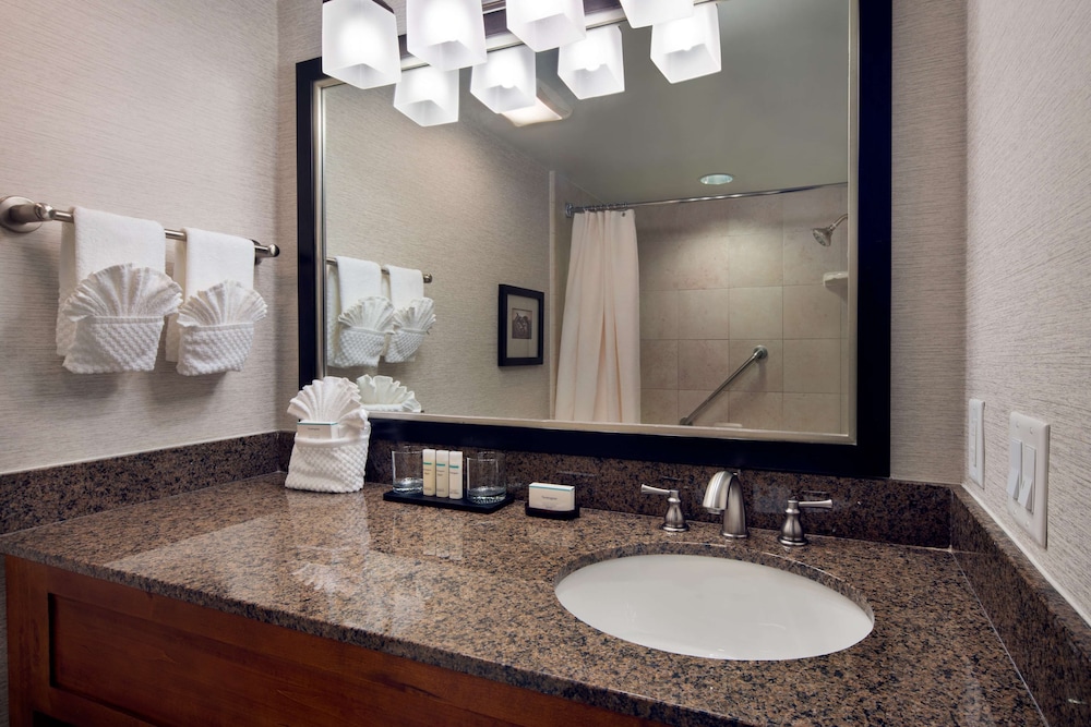 Embassy Suites by Hilton Austin Central - photo 24