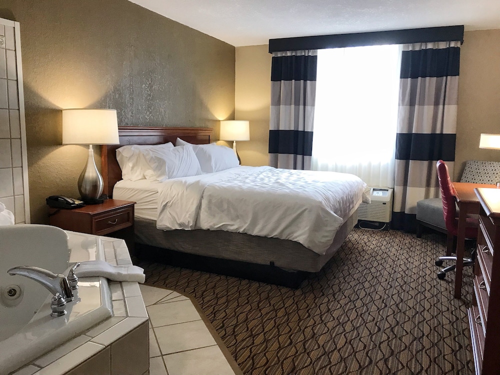Holiday Inn Alexandria by IHG - photo 15