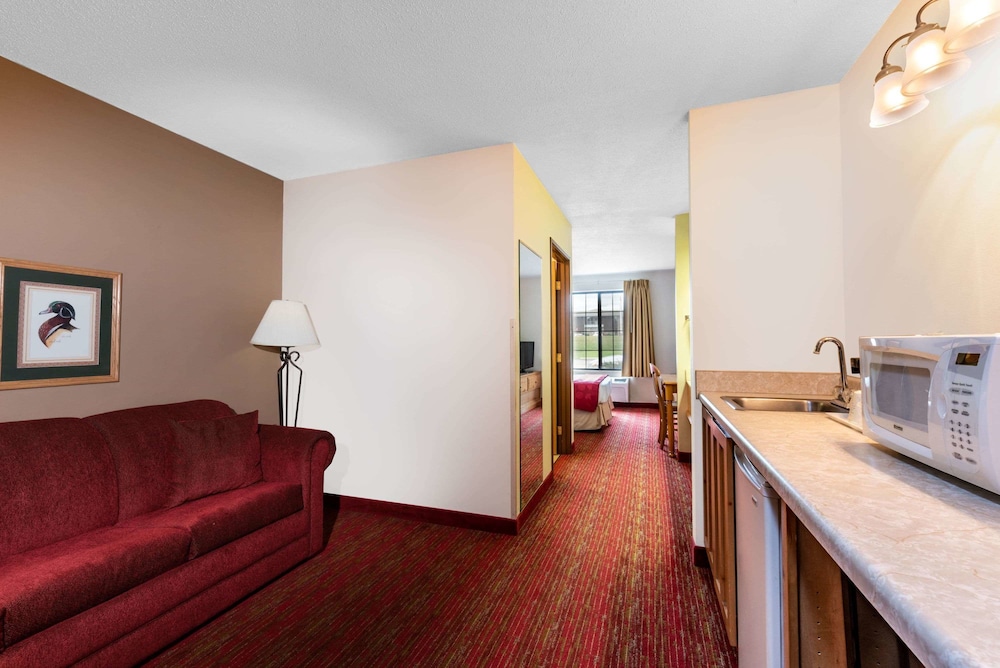 Comfort Inn & Suites Summerset Black Hills Area - photo 12