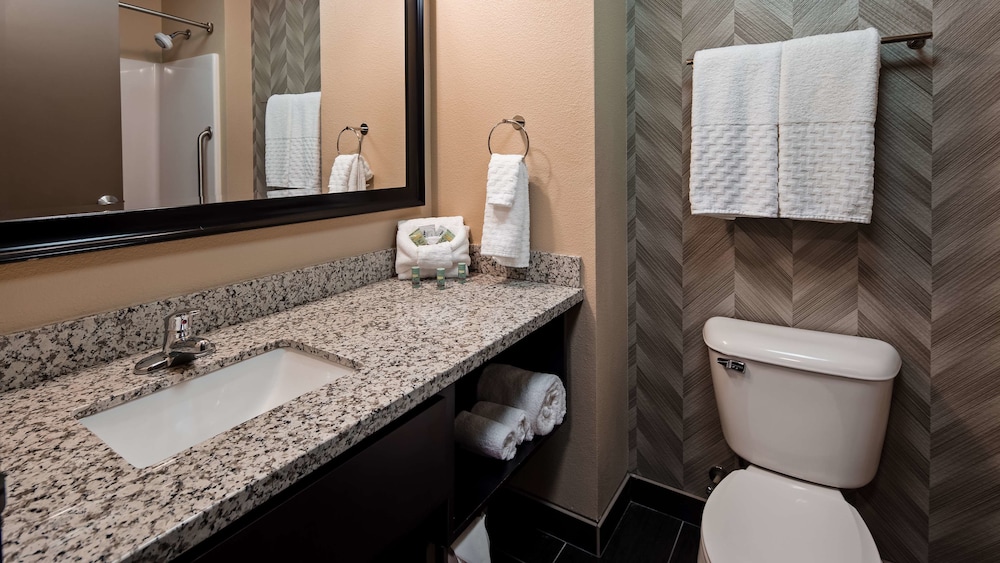Best Western Roosevelt Place Hotel - photo 23