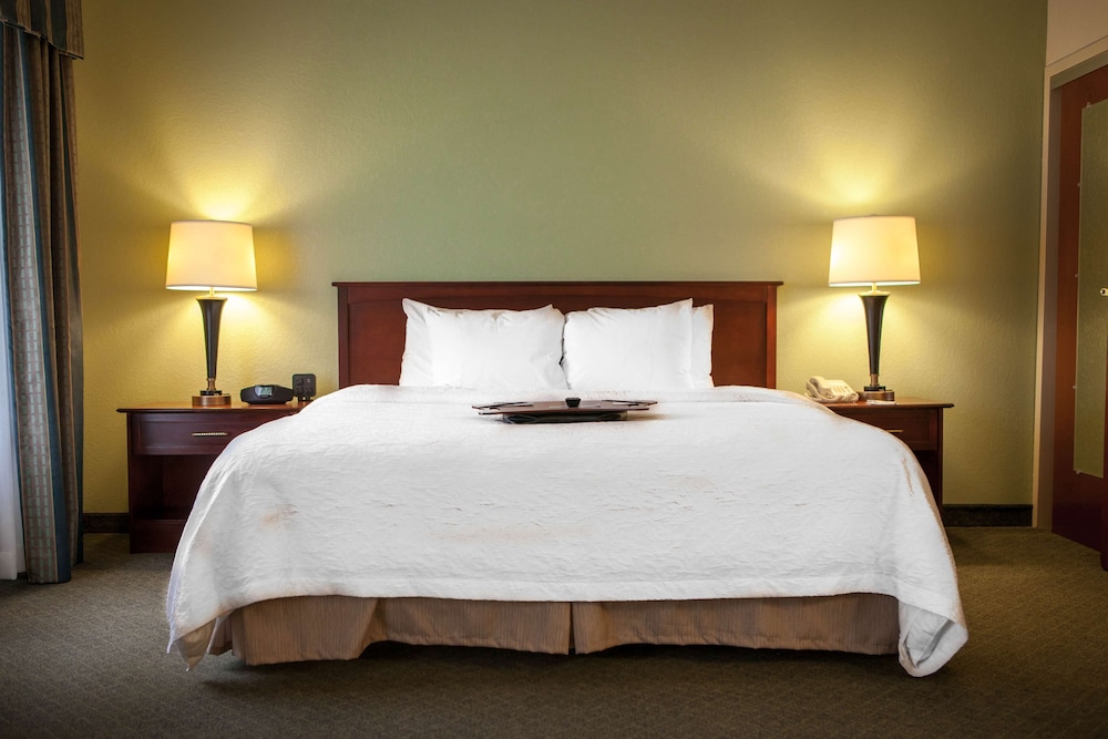 Hampton Inn & Suites Springfield Southwest - photo 7