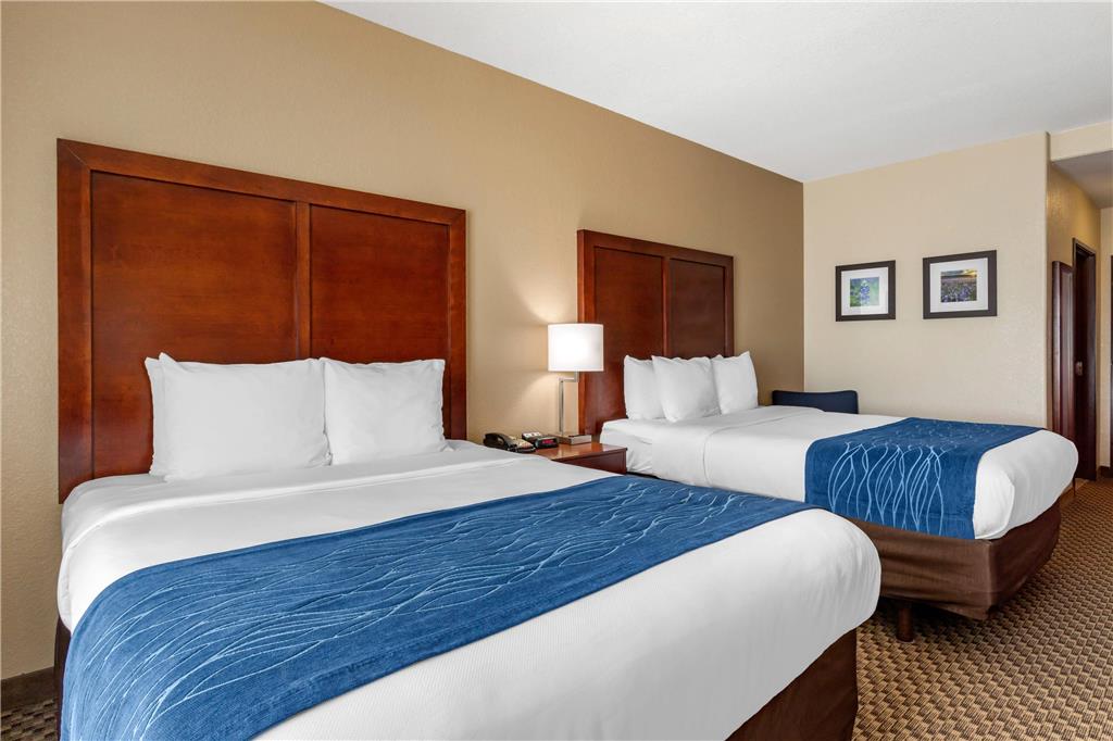 Comfort Inn & Suites Navasota - photo 12