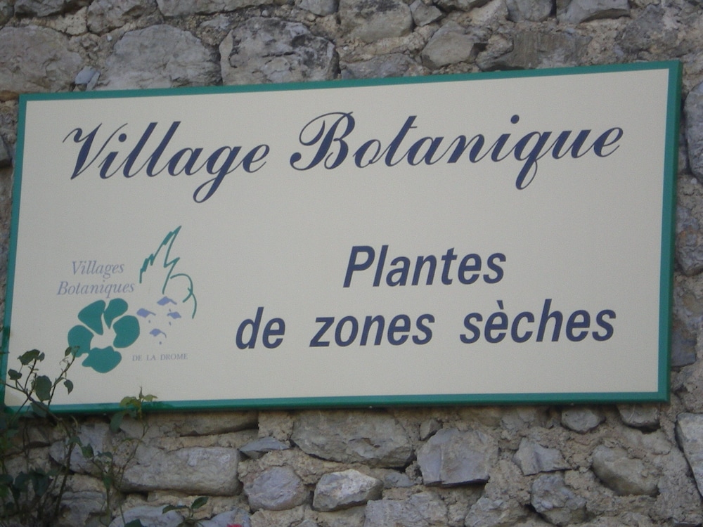 Laubergerie — Avignon — photo 2