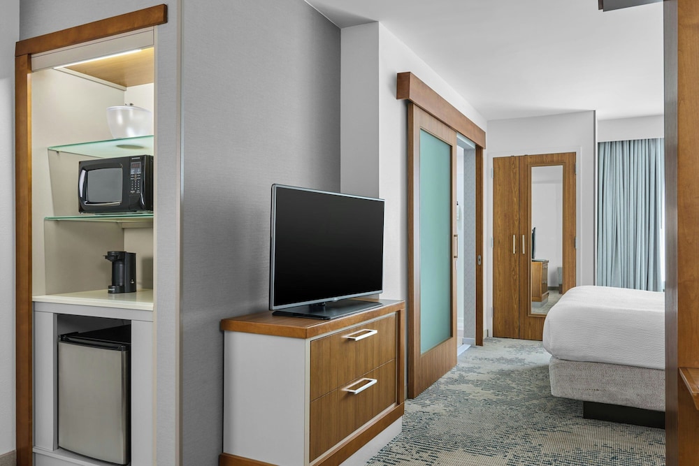 SpringHill Suites Lumberton - photo 9