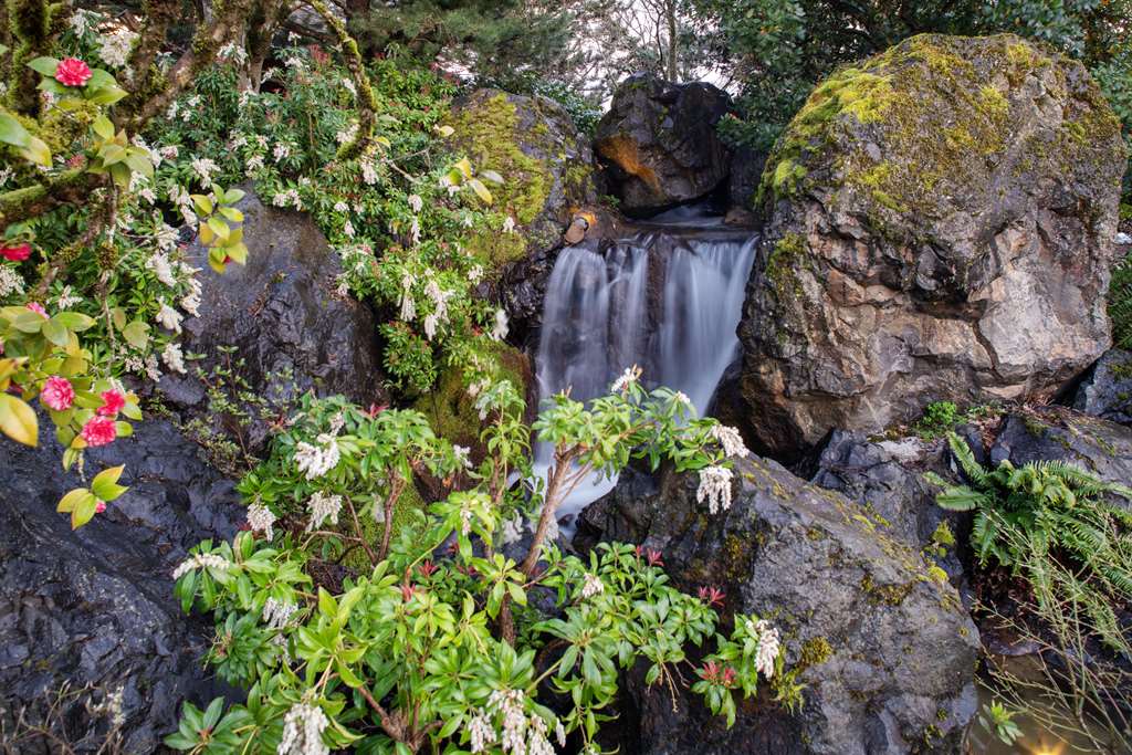 Best Western Premier Boulder Falls Inn - photo 4