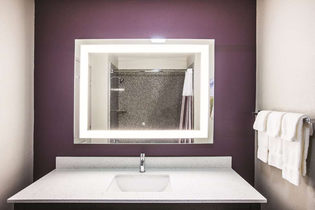 La Quinta Inn & Suites by Wyndham Walker Denham Springs - photo 21