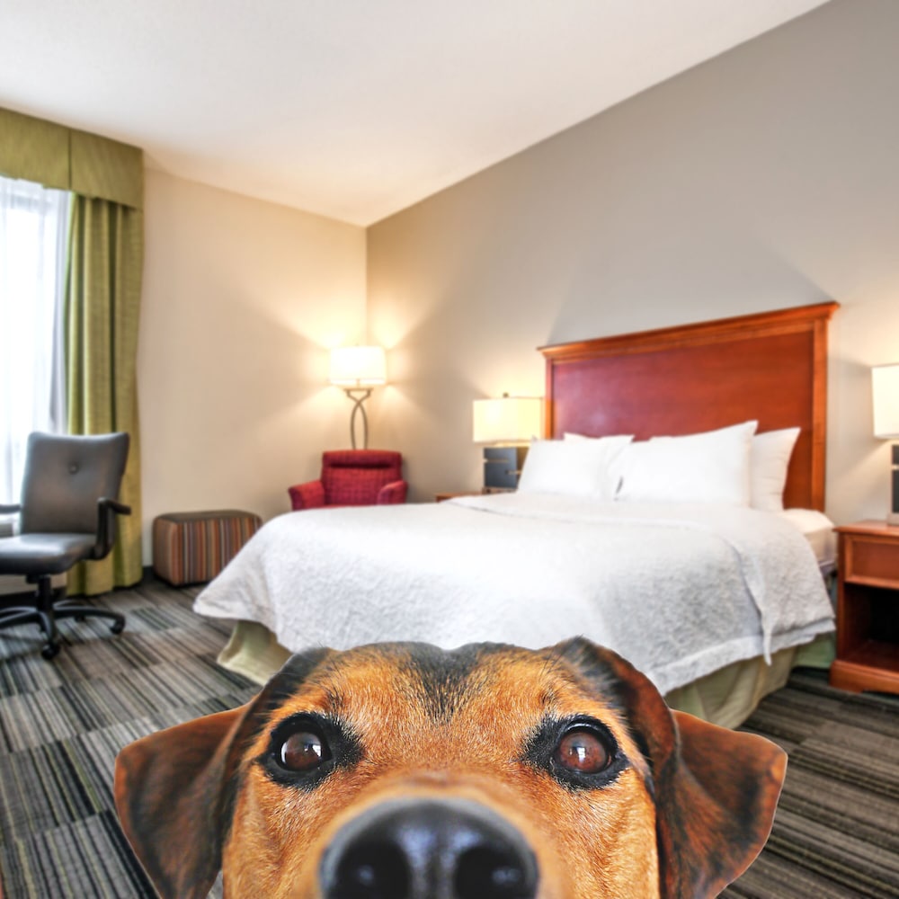 Hampton Inn by Hilton Bowling Green - photo 25