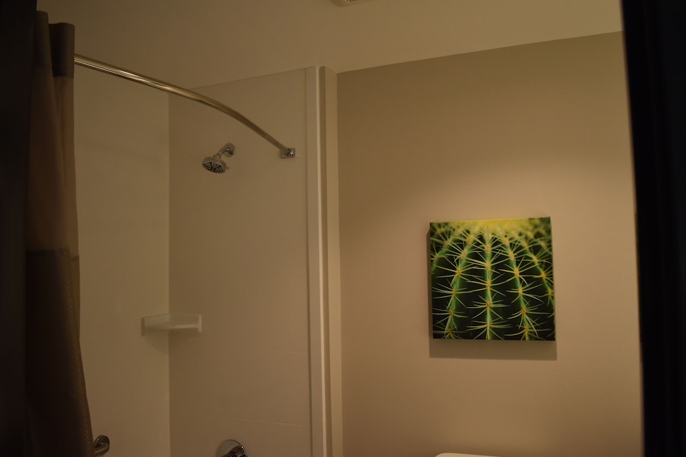 La Quinta Inn & Suites by Wyndham San Bernardino - photo 38