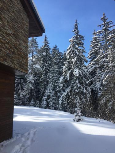 Borovets Chalets — Samokov — photo 4