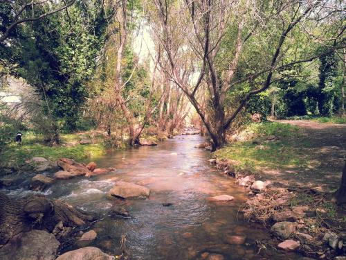 La Posada del Hobbit in Bahia Blanca, Argentina
