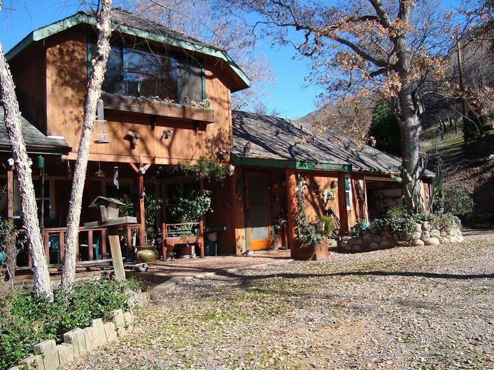 Bellevue Guesthouse - photo 2