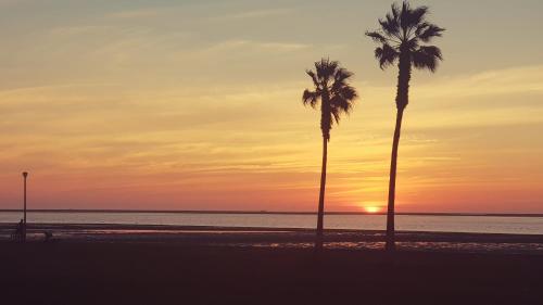 Flamingo Cottage no 12 — Walvis Bay — photo 4