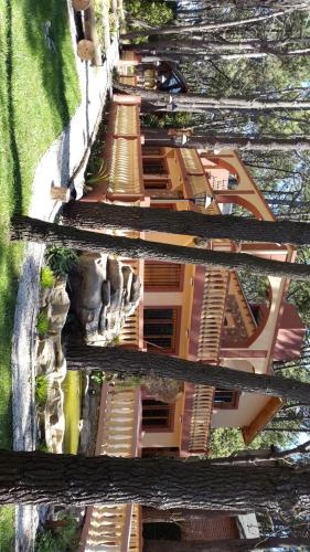 Lago del bosque - last minute hotel in Unknown City