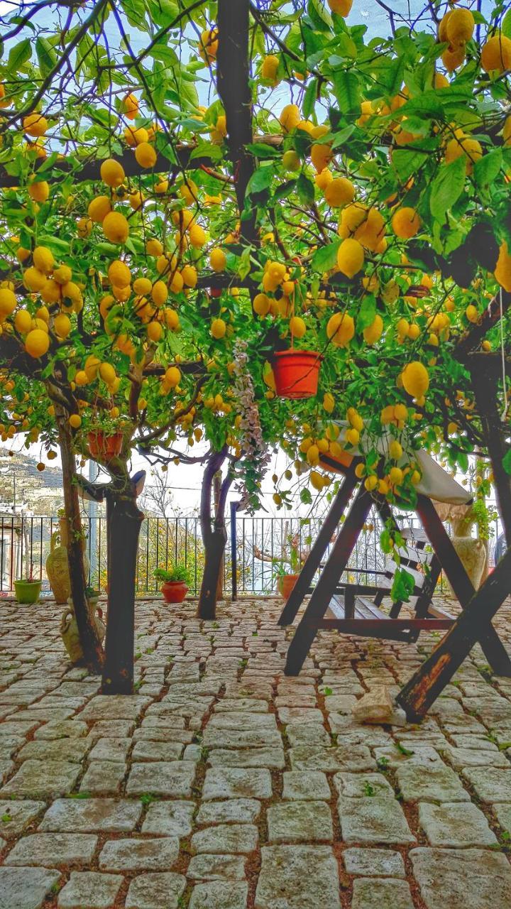 Il Limoneto di Lulu Holidays Among the Lemon Trees in Minori, Italy