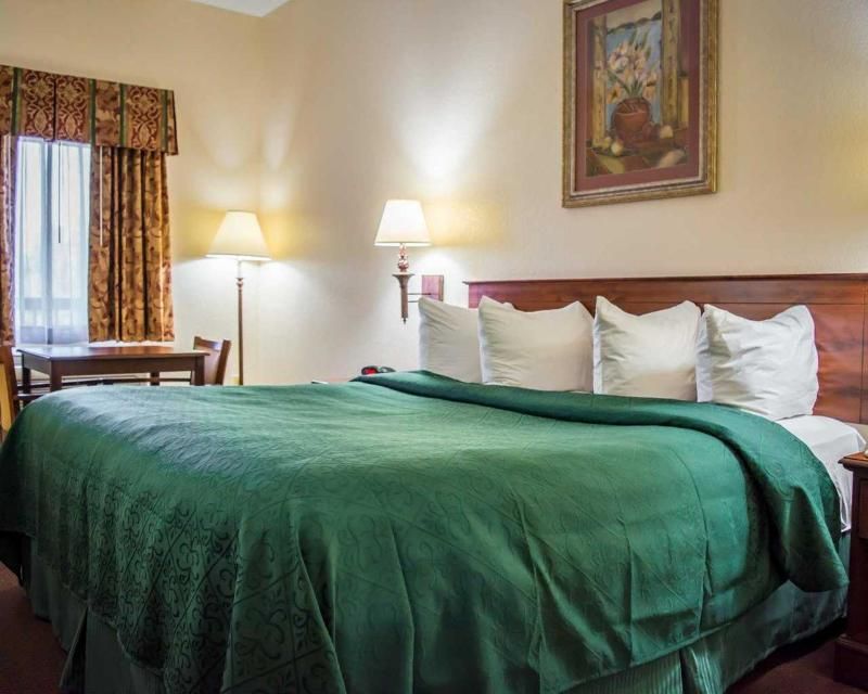 Quality Inn Weeki Wachee Spring Hill - photo 28