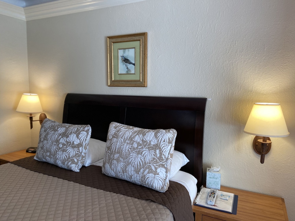 Los Gatos Garden Inn Hotel - photo 12