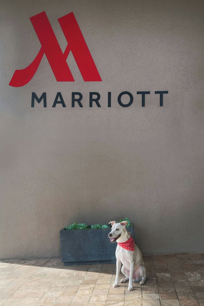 The Ricardo Marriott DFW Westlake - photo 41