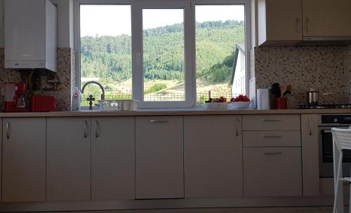 Carpen View Residence — Sacele — photo 4